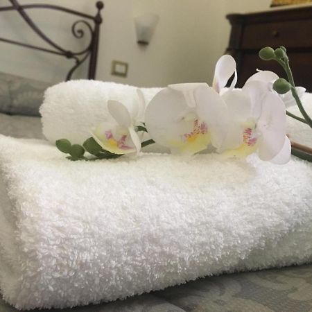 Ciro A Maschio Angioino Bed & Breakfast เนเปิลส์ ภายนอก รูปภาพ